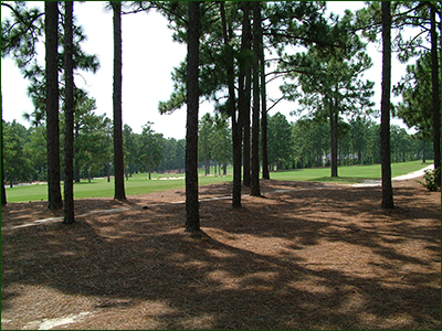 This is a new home with rock exterior